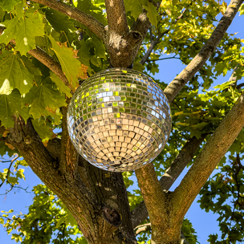 Discokugel in einem Ahornbaum, dahinter wolkenloser Himmel