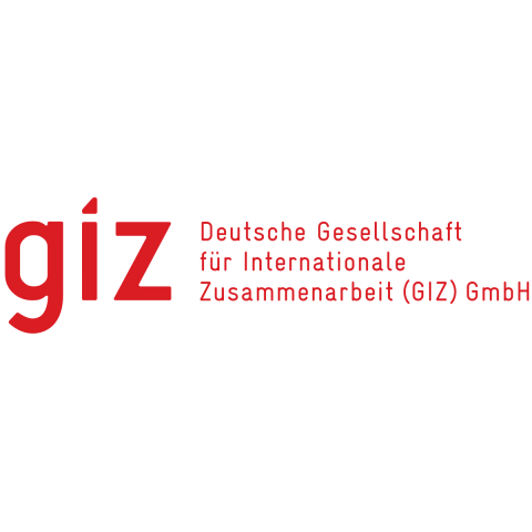 Deutsche Gesellschaft für Internationale Zusammenarbeit (GIZ)
